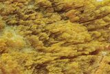 Vibrant Orpiment Crystal Aggregation - Russia #220262-2